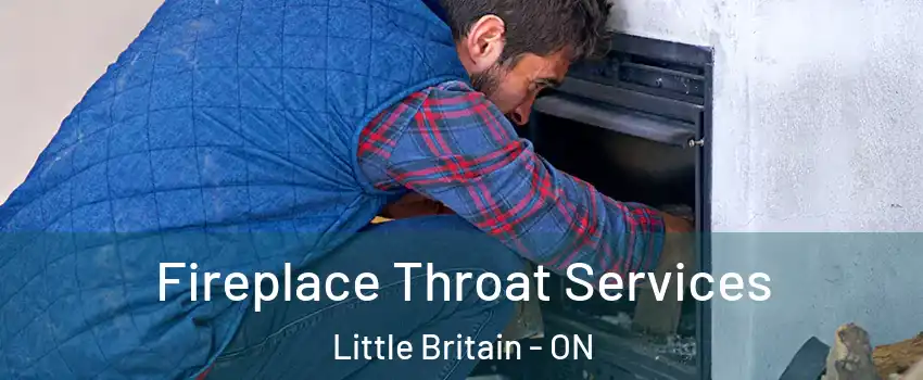  Fireplace Throat Services Little Britain - ON