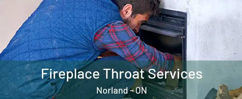  Fireplace Throat Services Norland - ON
