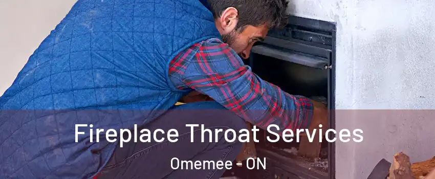  Fireplace Throat Services Omemee - ON