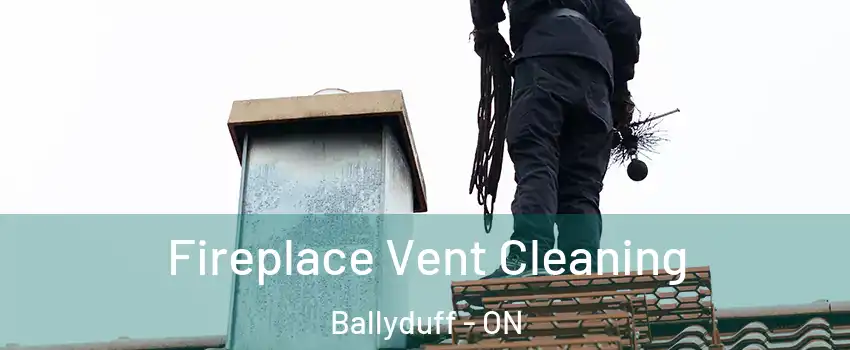 Fireplace Vent Cleaning Ballyduff - ON