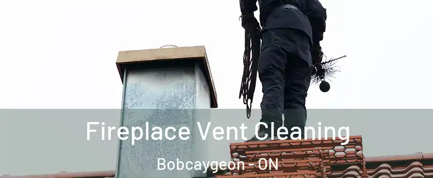  Fireplace Vent Cleaning Bobcaygeon - ON