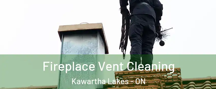  Fireplace Vent Cleaning Kawartha Lakes - ON