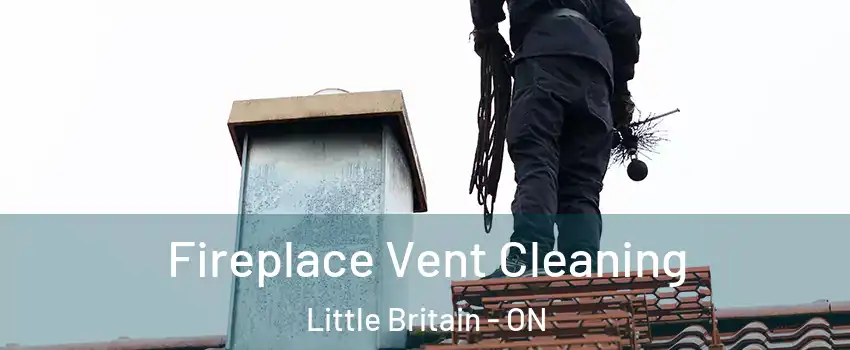  Fireplace Vent Cleaning Little Britain - ON