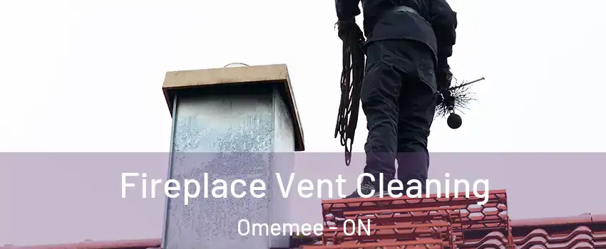  Fireplace Vent Cleaning Omemee - ON