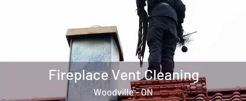  Fireplace Vent Cleaning Woodville - ON