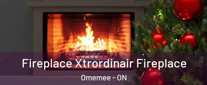 Fireplace Xtrordinair Fireplace Omemee - ON
