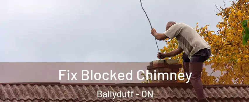  Fix Blocked Chimney Ballyduff - ON