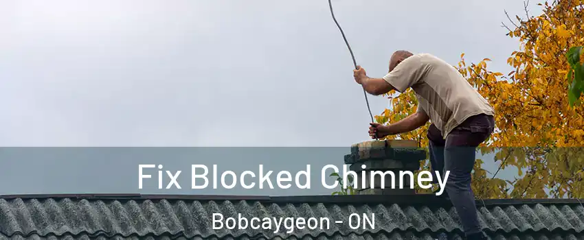  Fix Blocked Chimney Bobcaygeon - ON