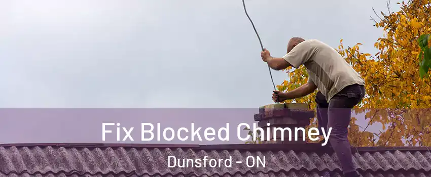  Fix Blocked Chimney Dunsford - ON