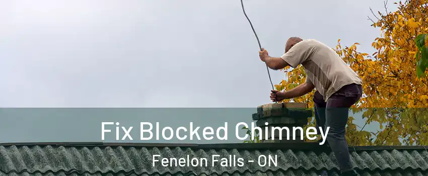  Fix Blocked Chimney Fenelon Falls - ON