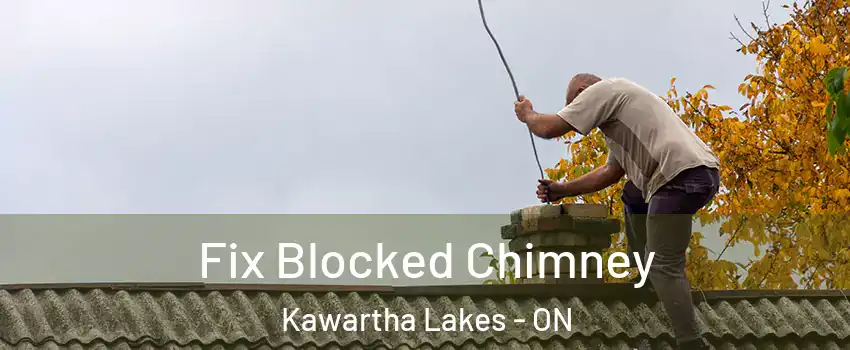  Fix Blocked Chimney Kawartha Lakes - ON