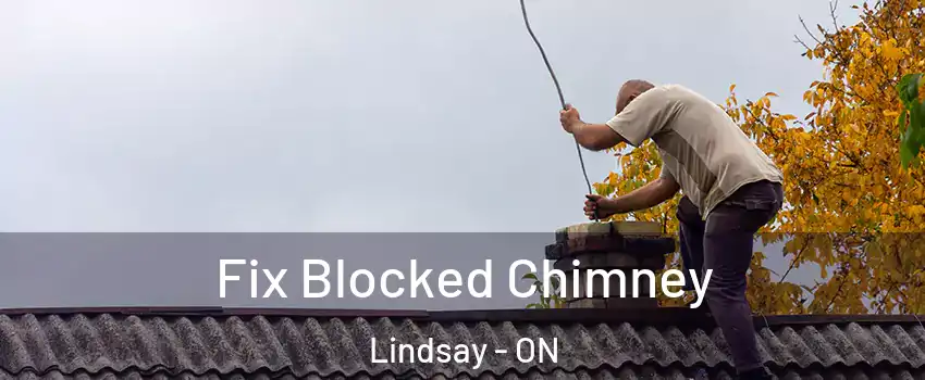  Fix Blocked Chimney Lindsay - ON