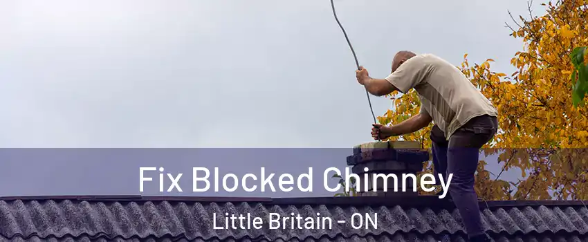  Fix Blocked Chimney Little Britain - ON
