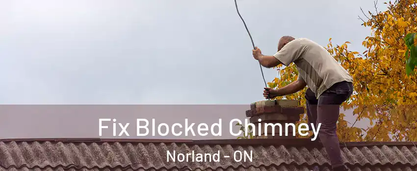  Fix Blocked Chimney Norland - ON