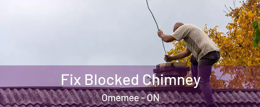 Fix Blocked Chimney Omemee - ON