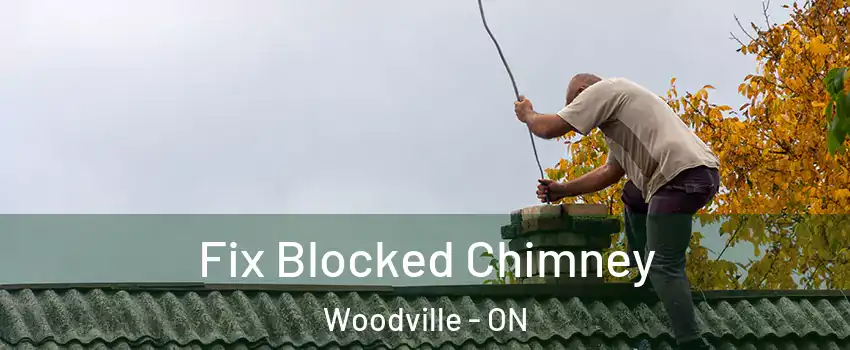  Fix Blocked Chimney Woodville - ON