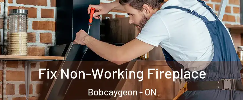  Fix Non-Working Fireplace Bobcaygeon - ON