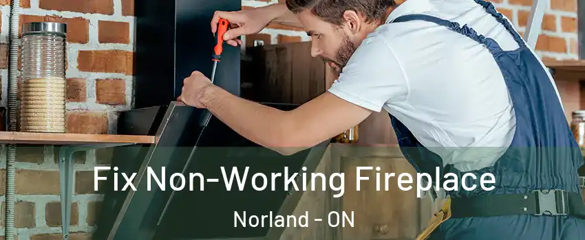  Fix Non-Working Fireplace Norland - ON