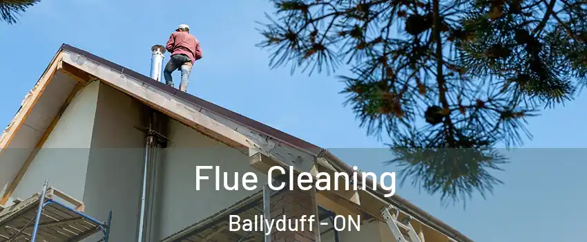  Flue Cleaning Ballyduff - ON