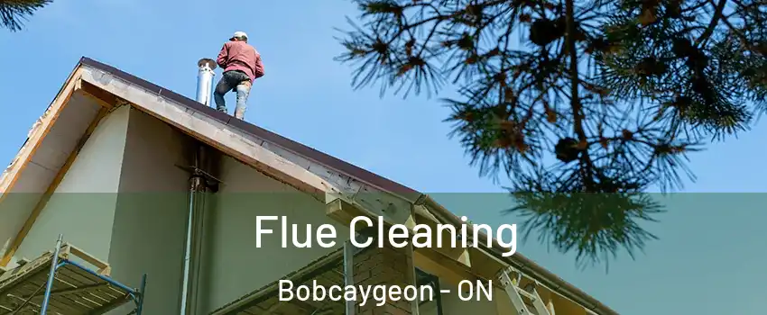  Flue Cleaning Bobcaygeon - ON