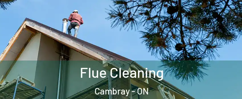  Flue Cleaning Cambray - ON