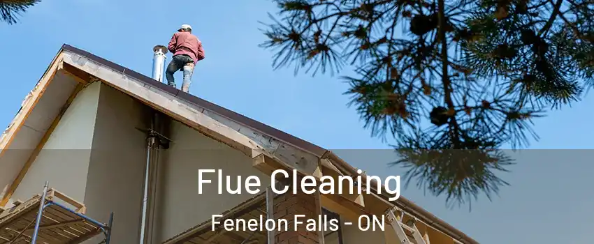  Flue Cleaning Fenelon Falls - ON