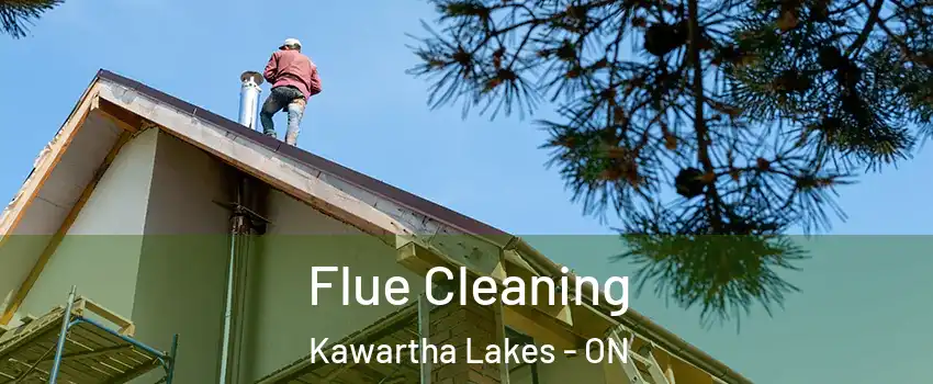  Flue Cleaning Kawartha Lakes - ON