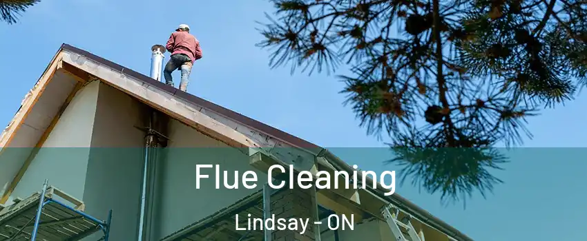  Flue Cleaning Lindsay - ON