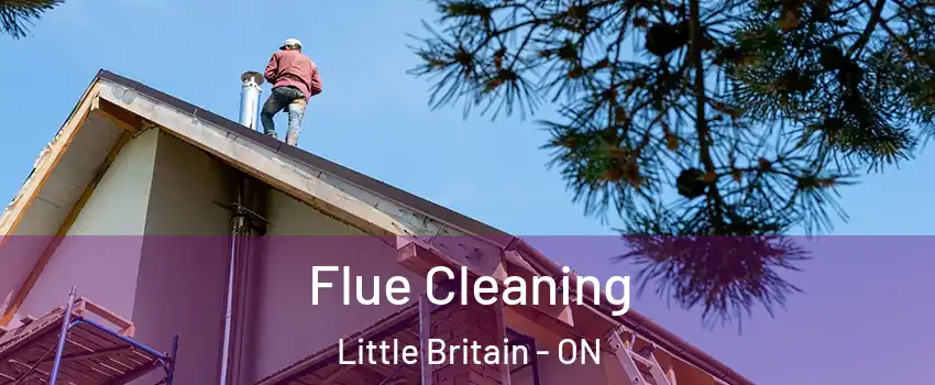  Flue Cleaning Little Britain - ON