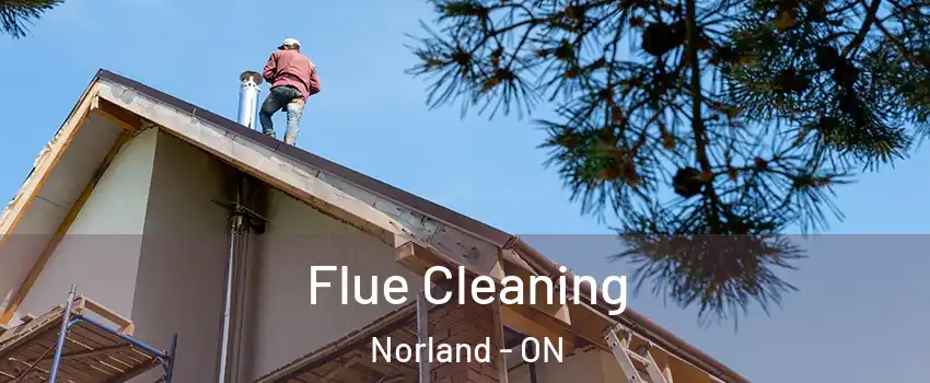  Flue Cleaning Norland - ON