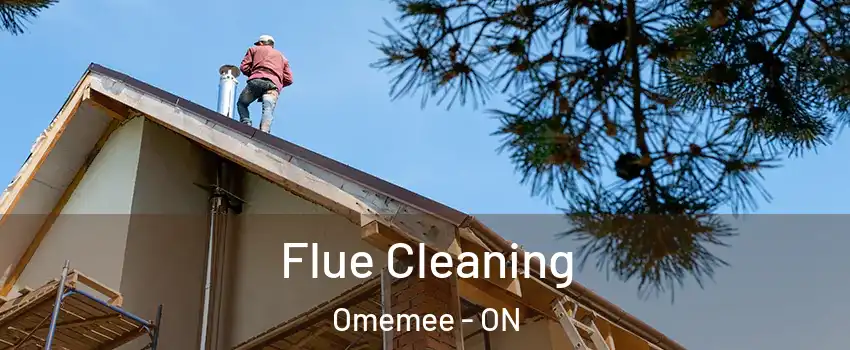  Flue Cleaning Omemee - ON