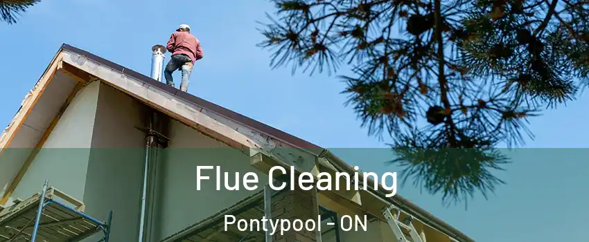  Flue Cleaning Pontypool - ON