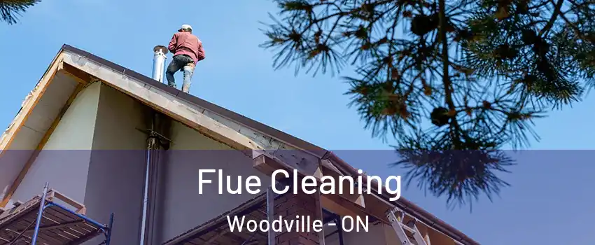  Flue Cleaning Woodville - ON