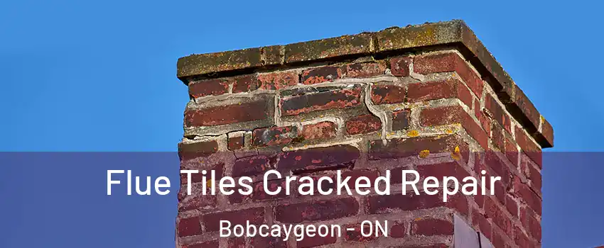  Flue Tiles Cracked Repair Bobcaygeon - ON