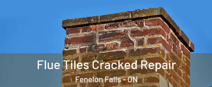  Flue Tiles Cracked Repair Fenelon Falls - ON