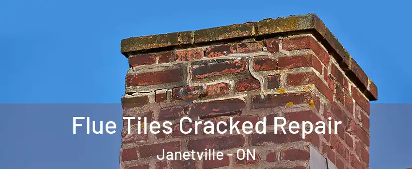  Flue Tiles Cracked Repair Janetville - ON