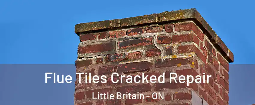  Flue Tiles Cracked Repair Little Britain - ON