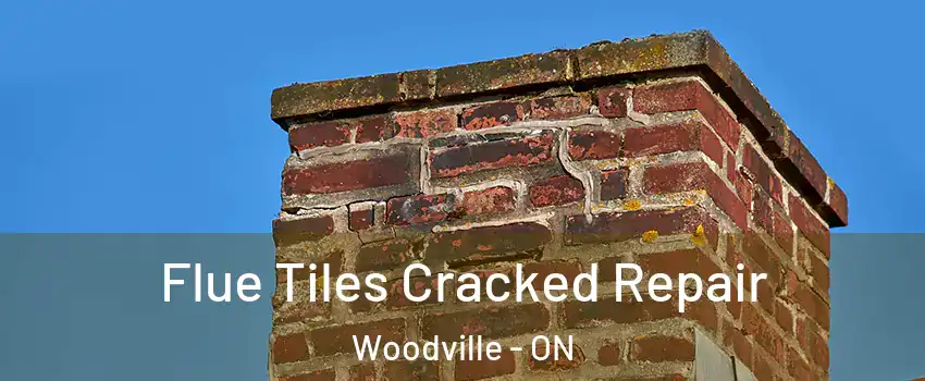  Flue Tiles Cracked Repair Woodville - ON