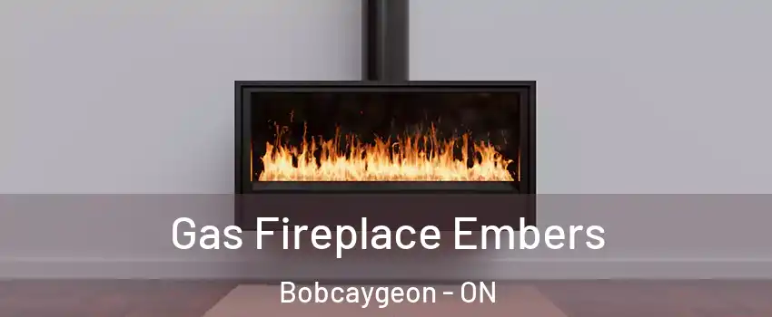  Gas Fireplace Embers Bobcaygeon - ON