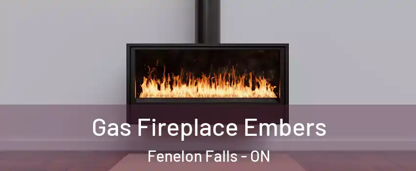  Gas Fireplace Embers Fenelon Falls - ON