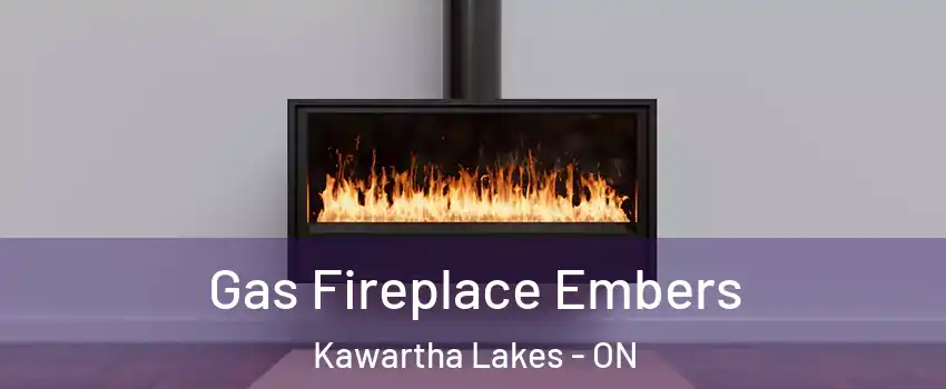  Gas Fireplace Embers Kawartha Lakes - ON