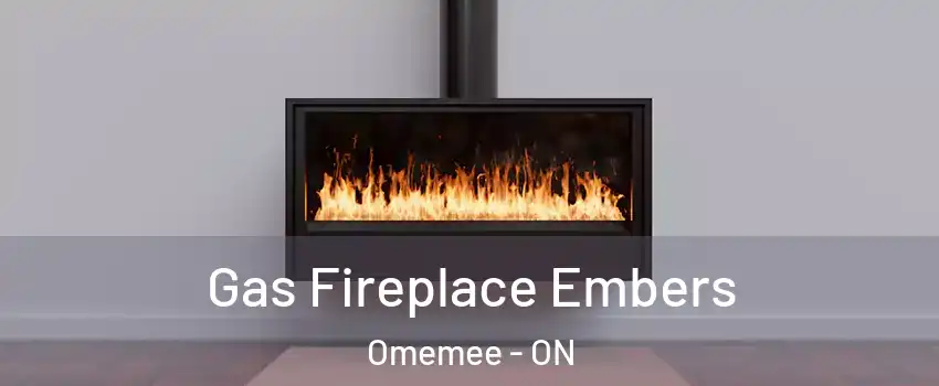  Gas Fireplace Embers Omemee - ON