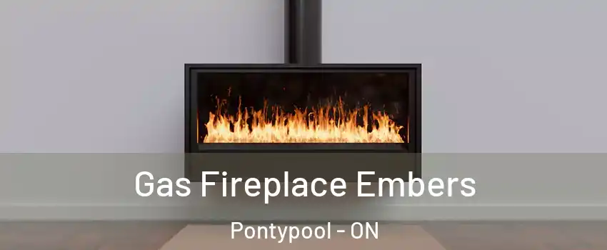  Gas Fireplace Embers Pontypool - ON