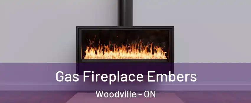  Gas Fireplace Embers Woodville - ON