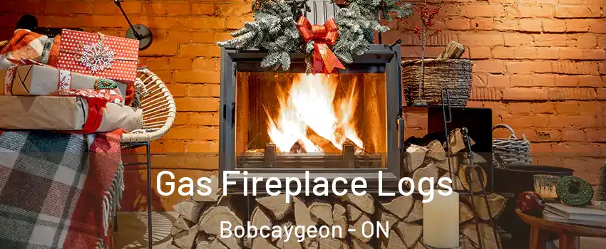  Gas Fireplace Logs Bobcaygeon - ON