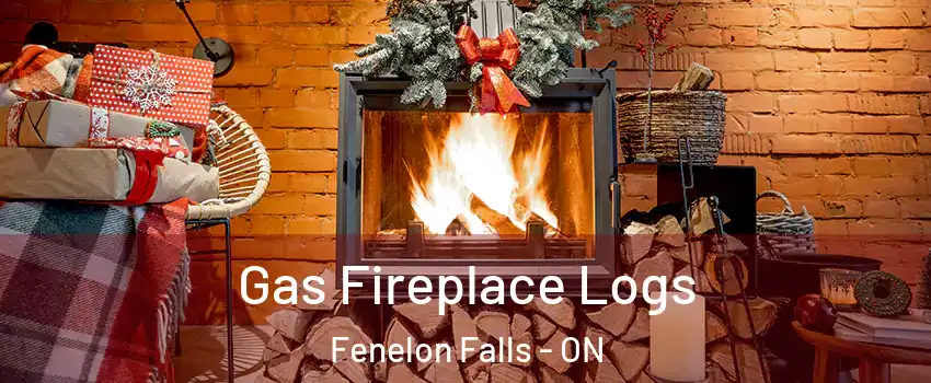  Gas Fireplace Logs Fenelon Falls - ON