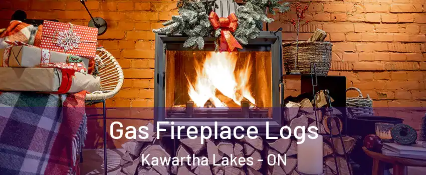  Gas Fireplace Logs Kawartha Lakes - ON