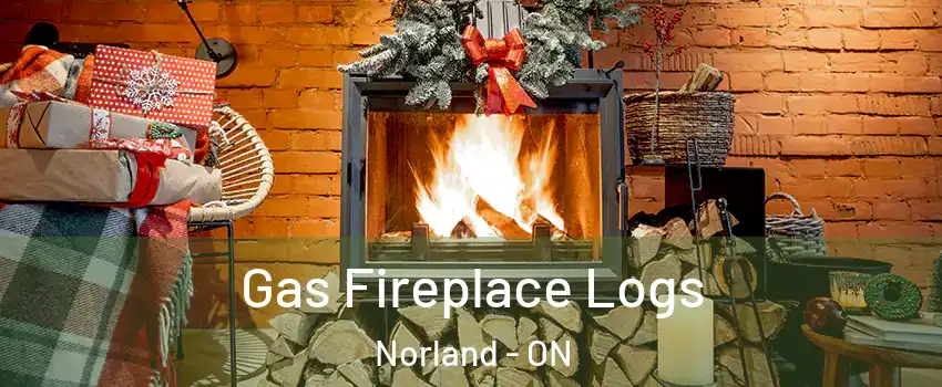  Gas Fireplace Logs Norland - ON