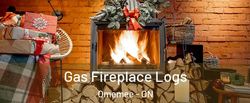  Gas Fireplace Logs Omemee - ON
