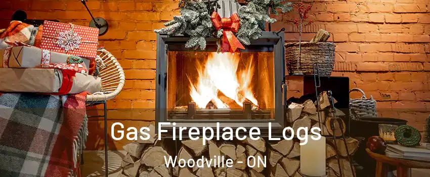  Gas Fireplace Logs Woodville - ON